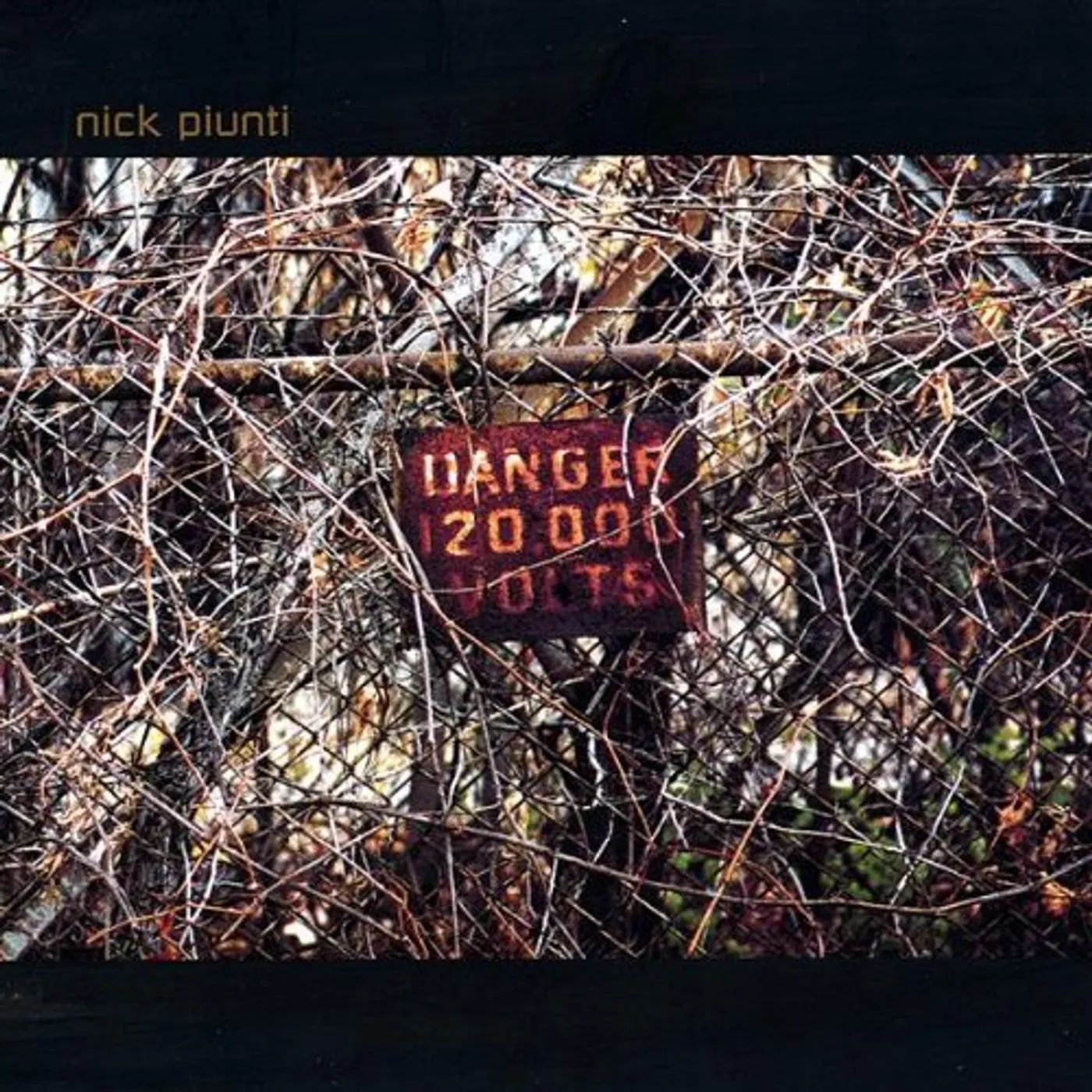 NICK PIUNTI CD