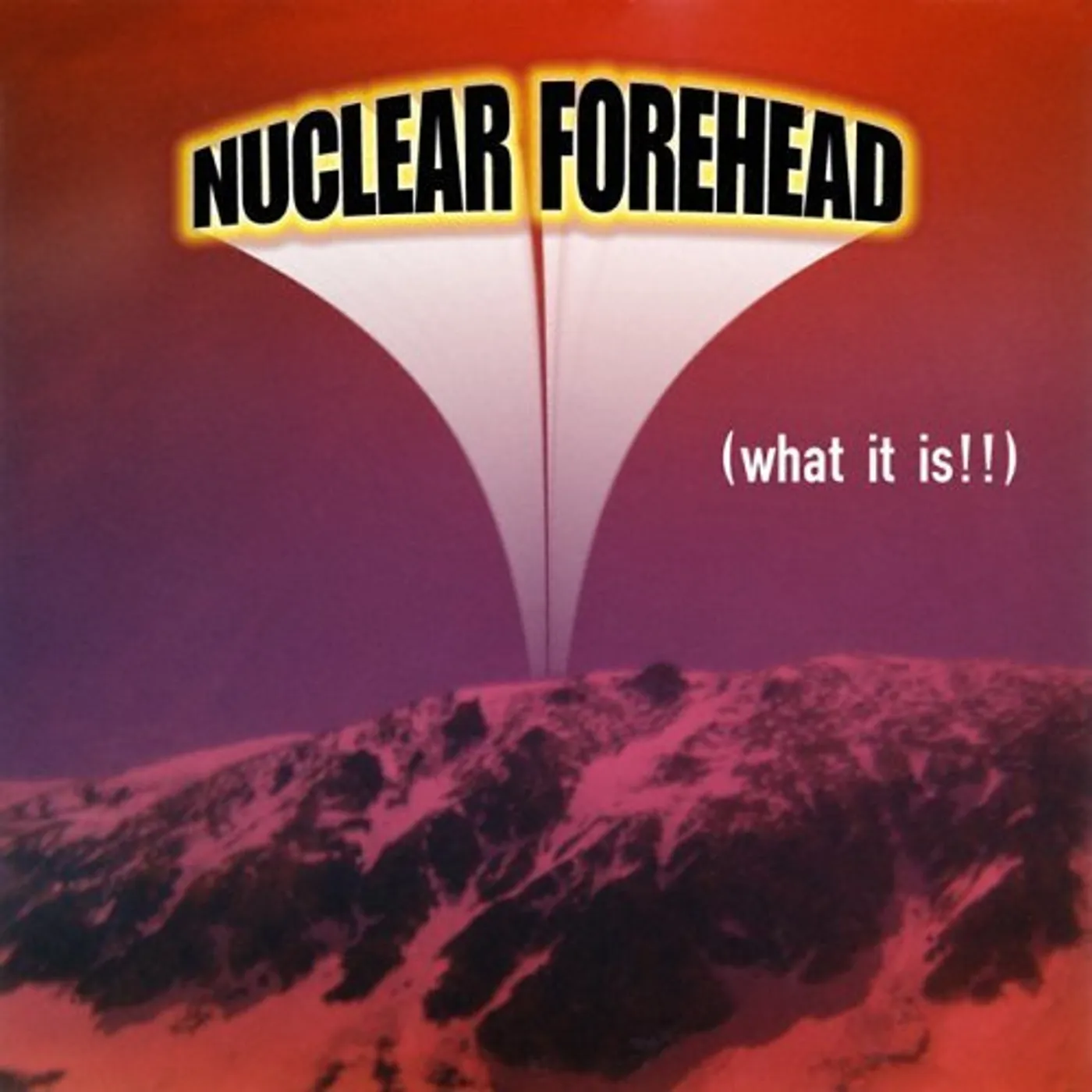 Nuclear Forehead WHAT IT IS!! CD