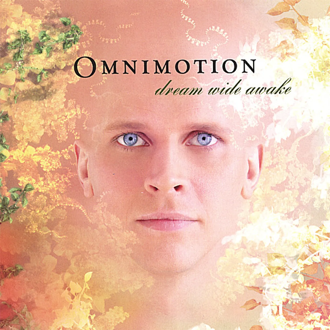 Omnimotion DREAM WIDE AWAKE CD