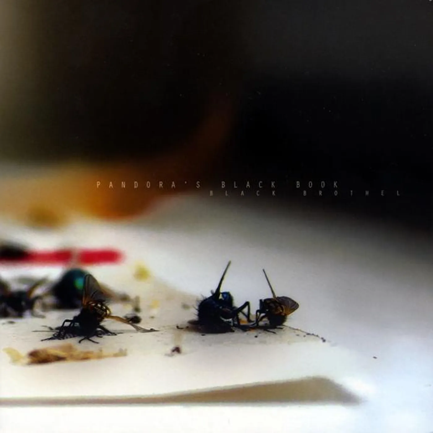 Pandora's Black Book BLACK BROTHEL CD