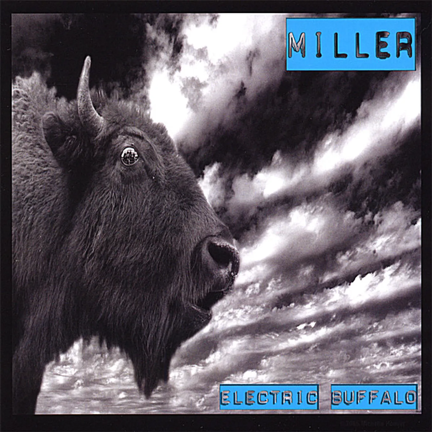 Miller ELECTRIC BUFFALO CD