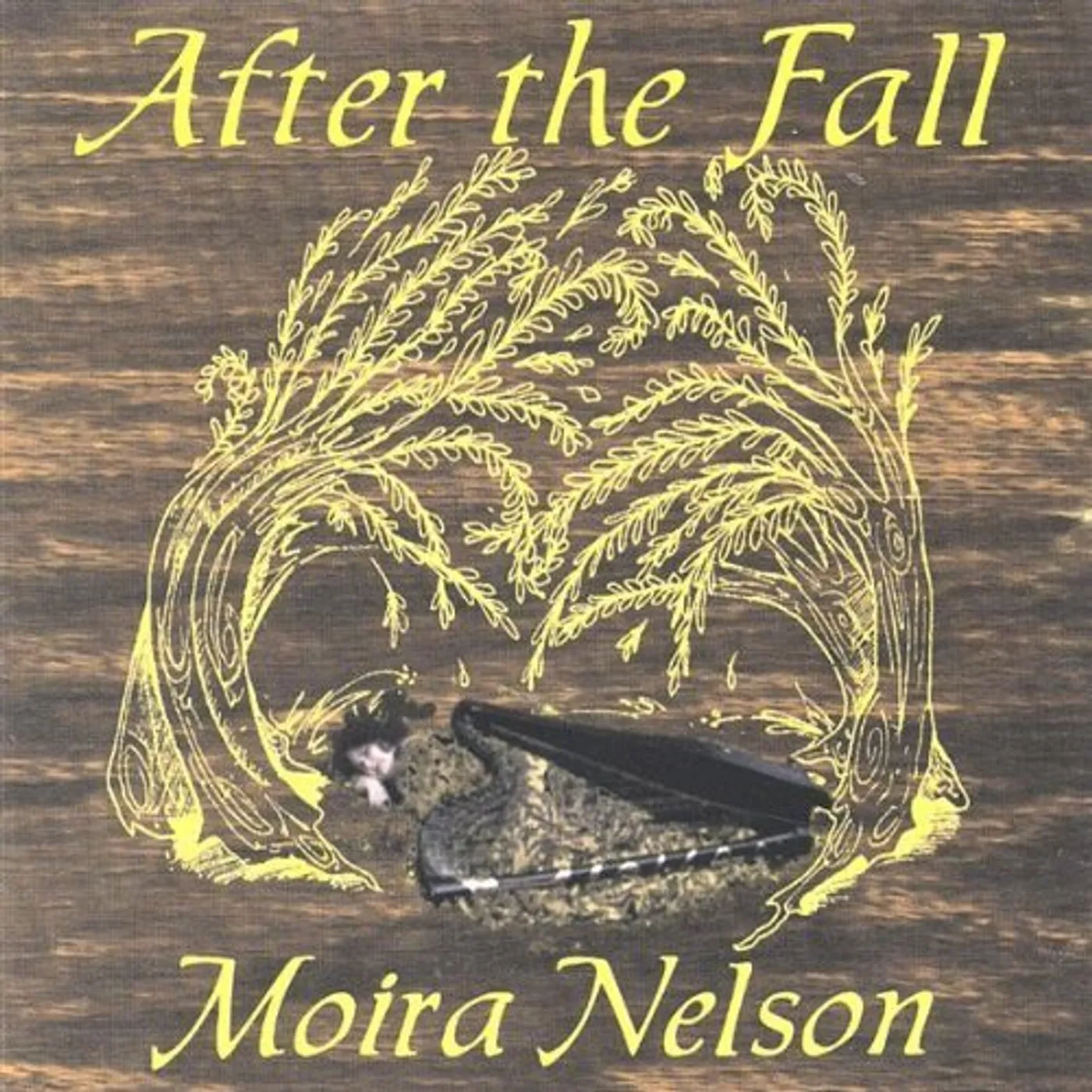 Moira Nelson AFTER THE FALL CD