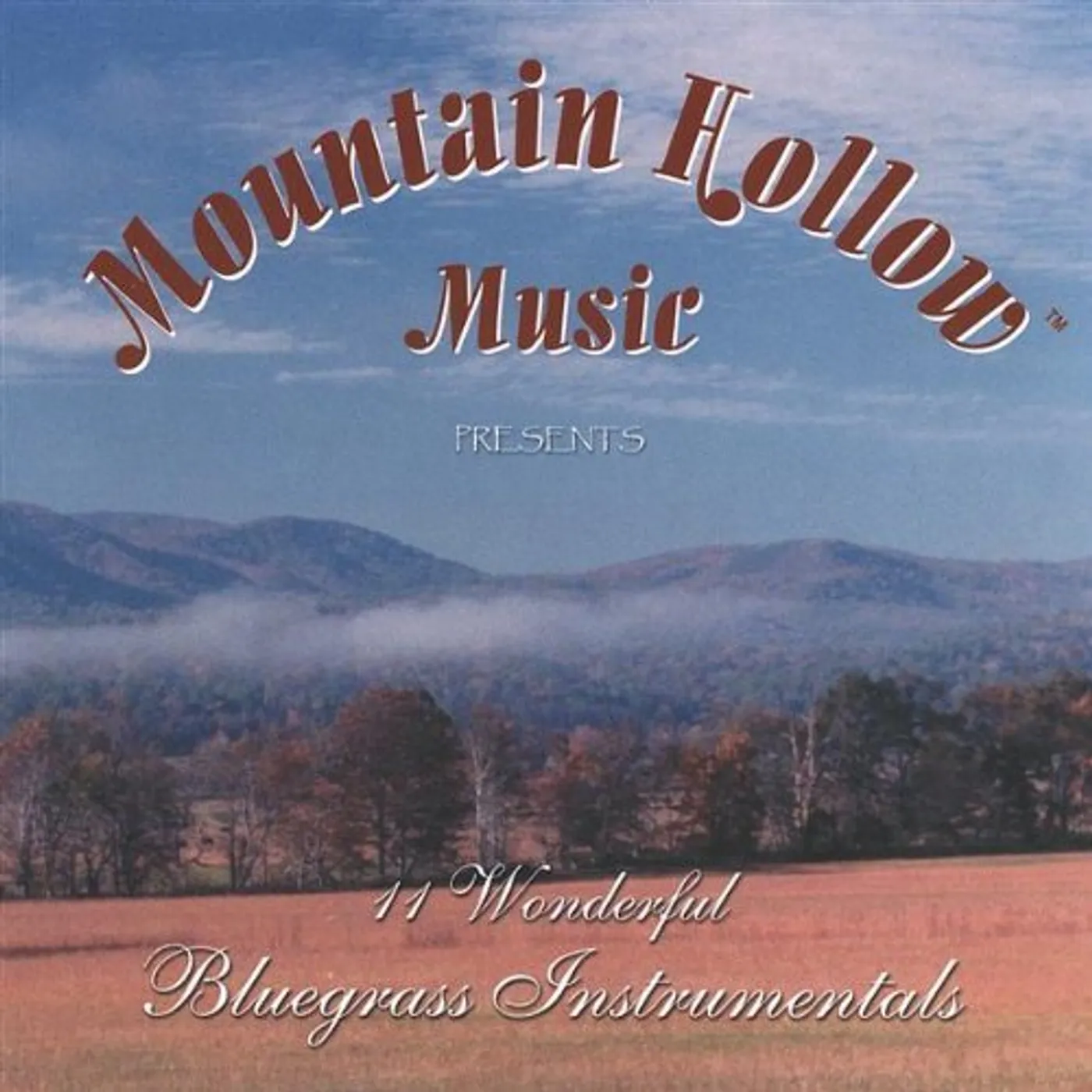 Mountain Hollow Music 11 WONDERFUL BLUEGRASS INSTRUMENTALS CD