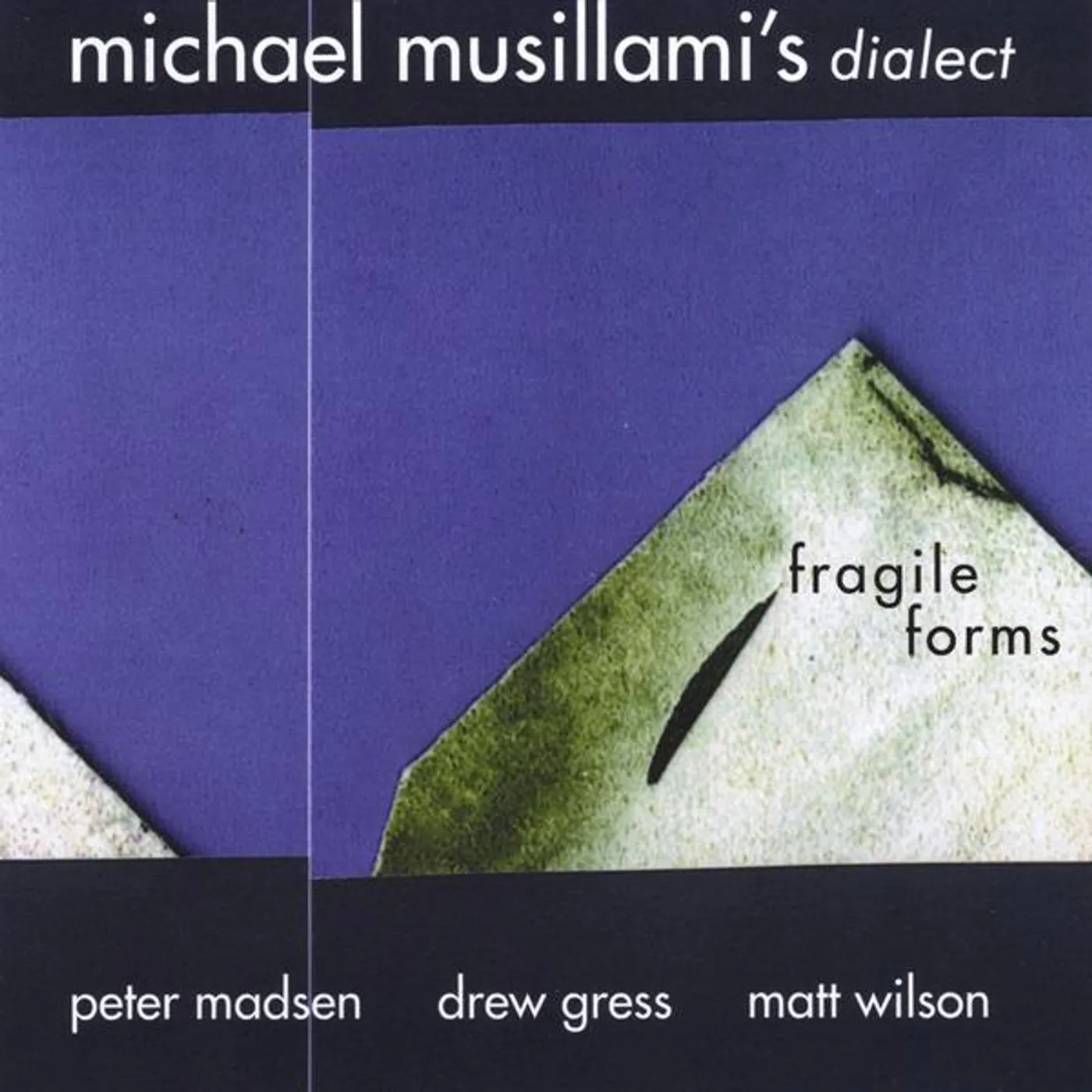 Michael Musillami FRAGILE FORMS CD