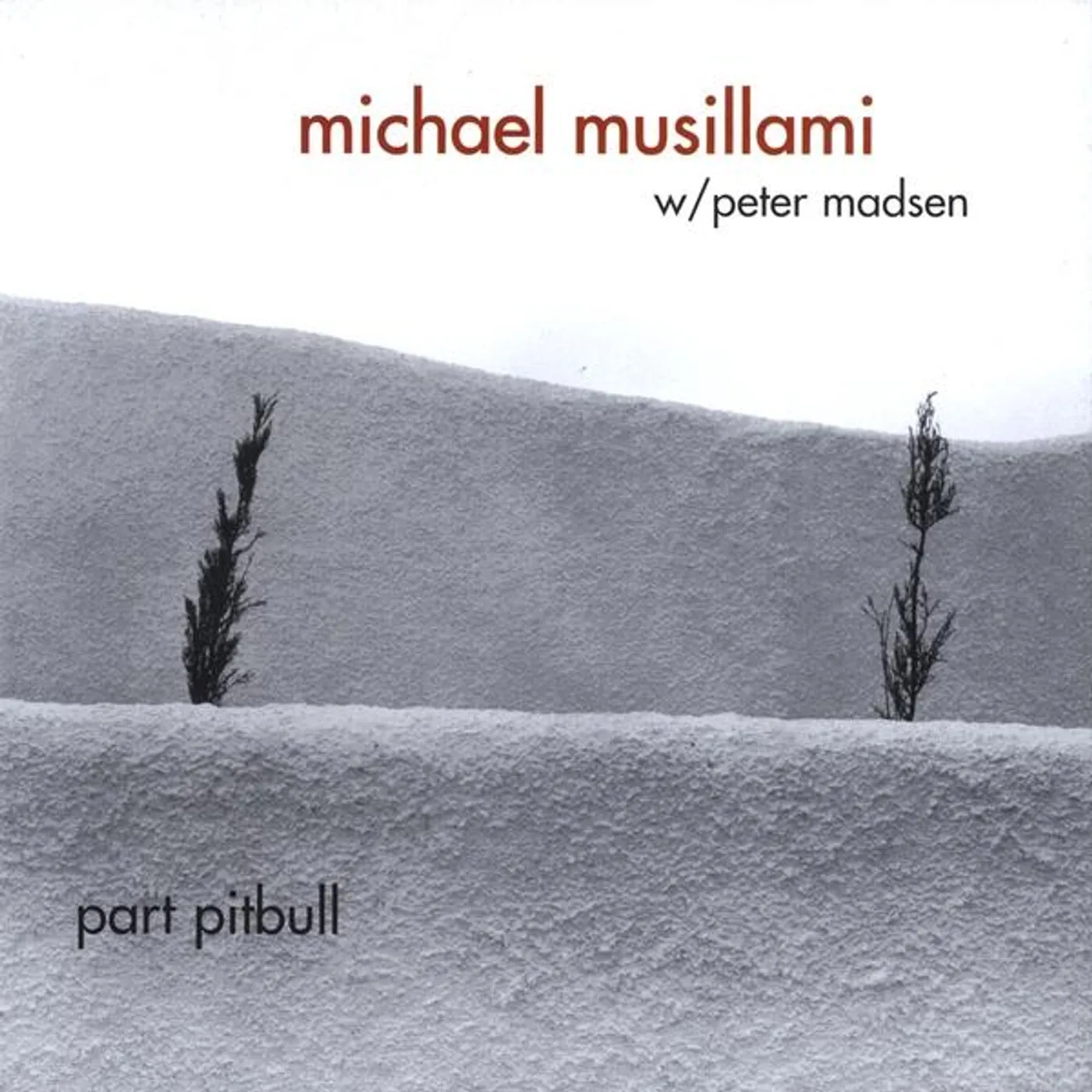 Michael Musillami PART PITBULL CD