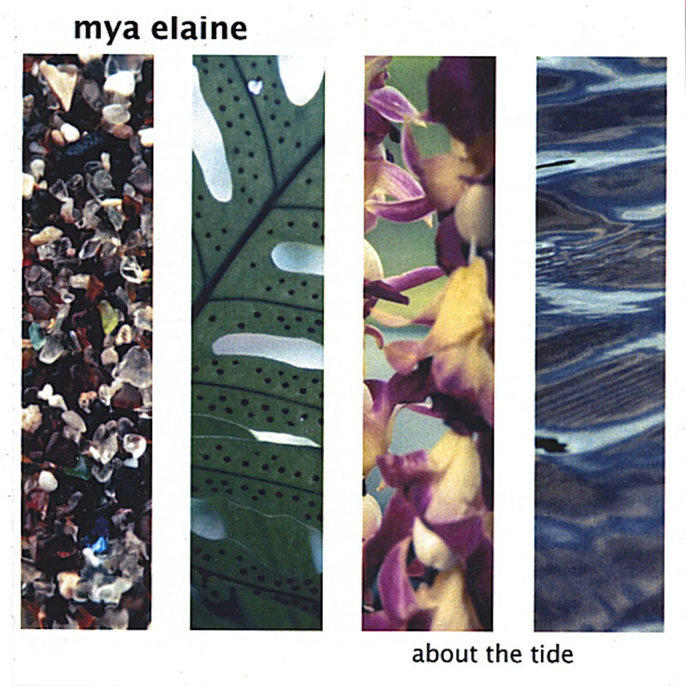 Mya Elaine ABOUT THE TIDE CD