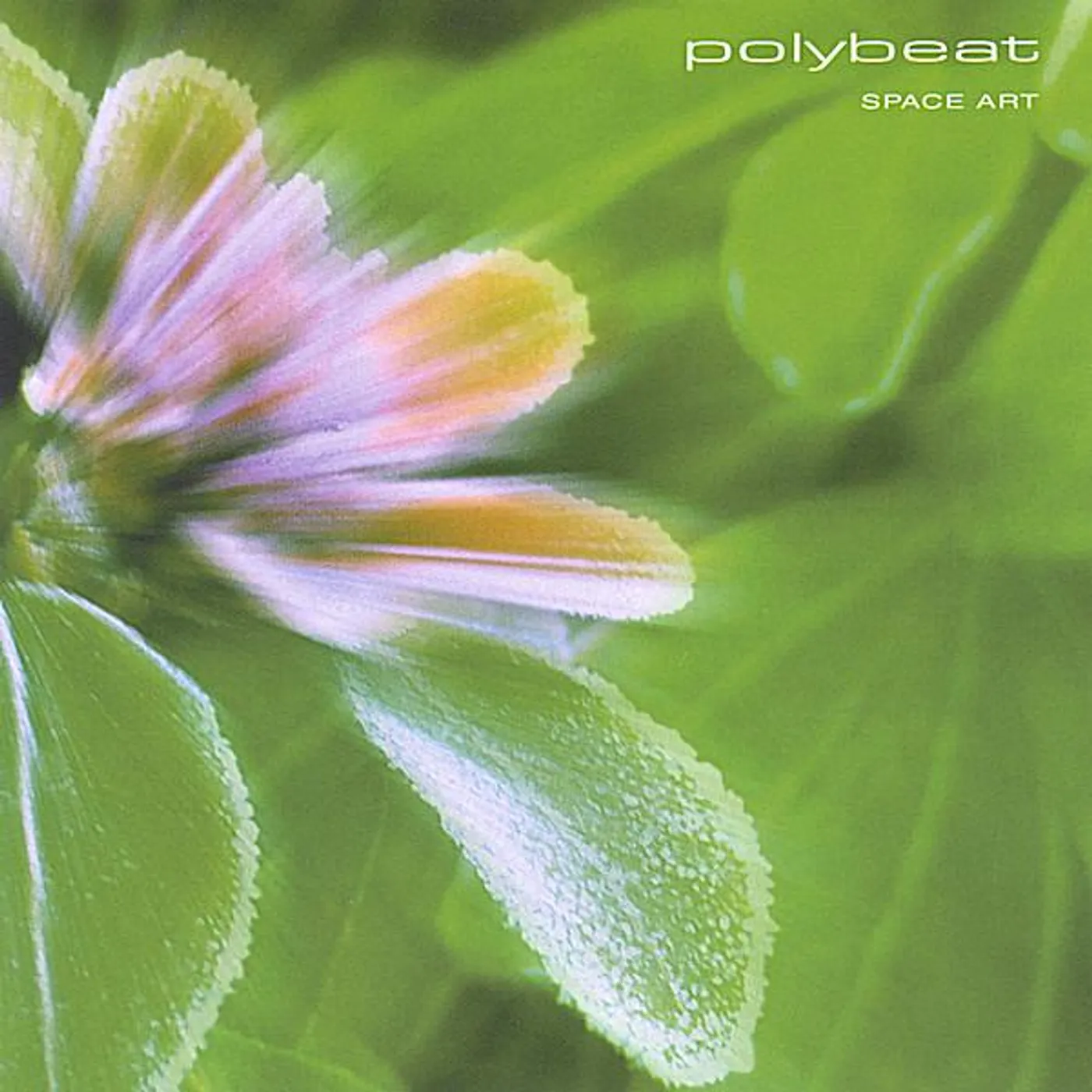 Polybeat SPACE ART CD