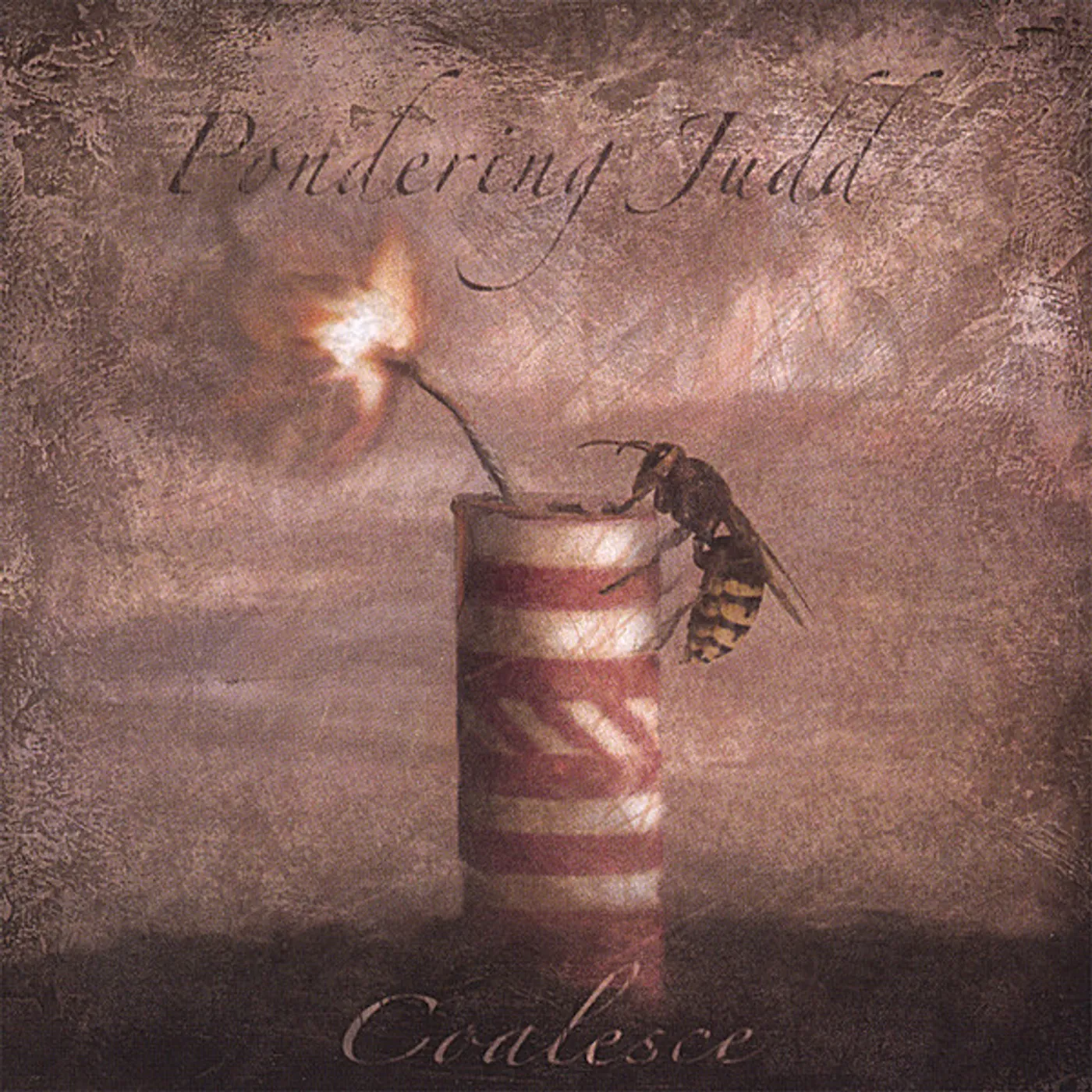 Pondering Judd COALESCE CD
