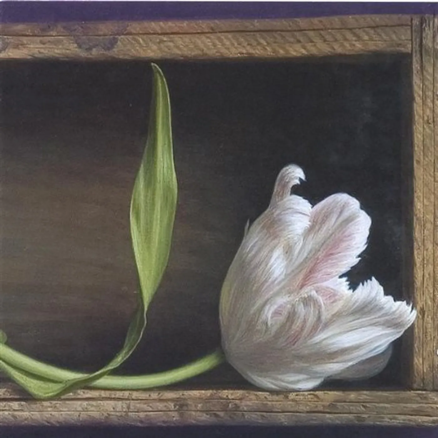Pondering Judd LONESOME HEART STRANGERS CD