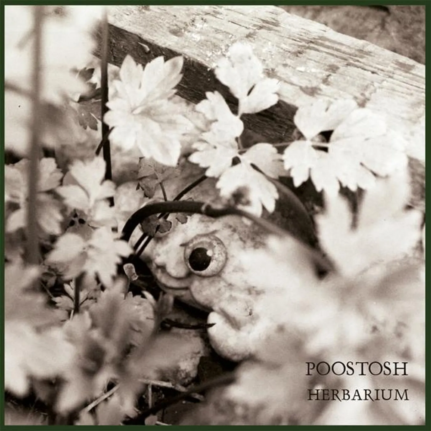 Poostosh HERBARIUM CD