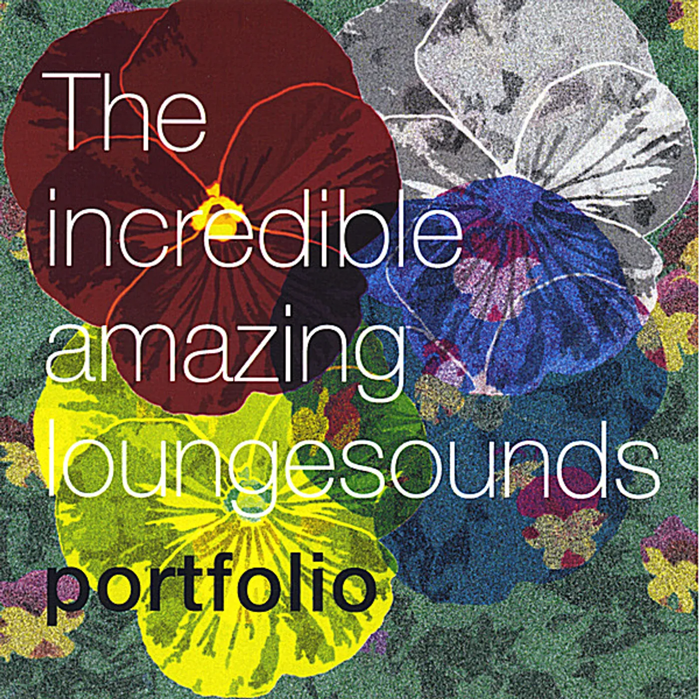 Portfolio INCREDIBLE AMAZING LOUNGESOUNDS CD