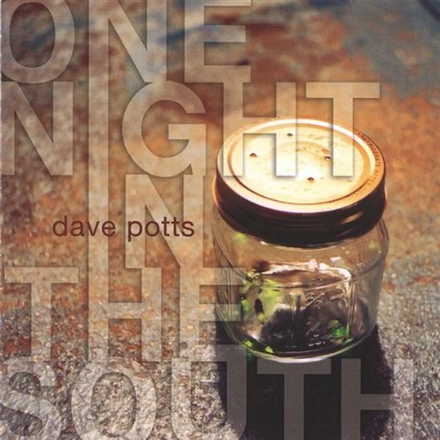 Dave Potts ONE NIGHT IN THE SOUTH CD