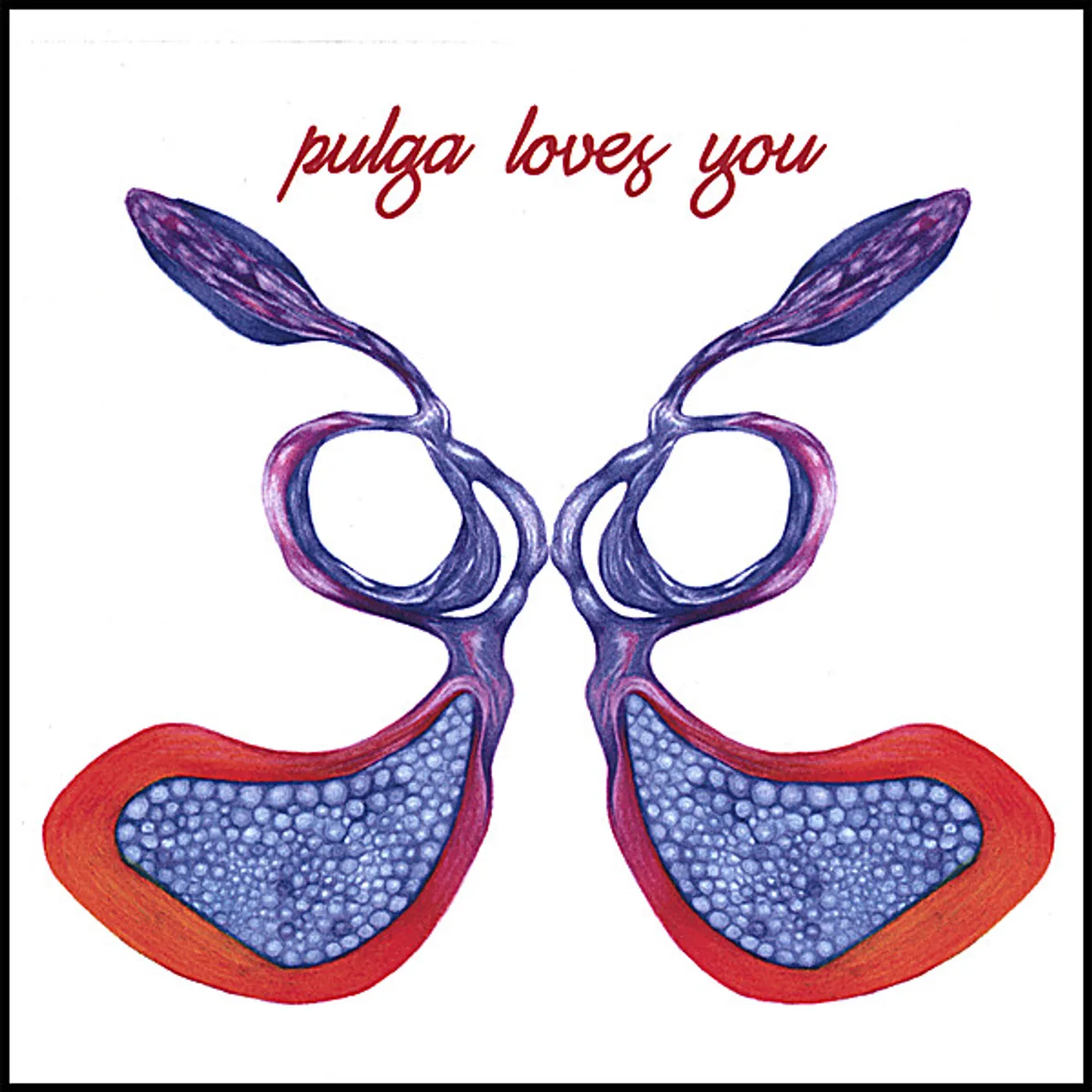 PULGA LOVES YOU CD