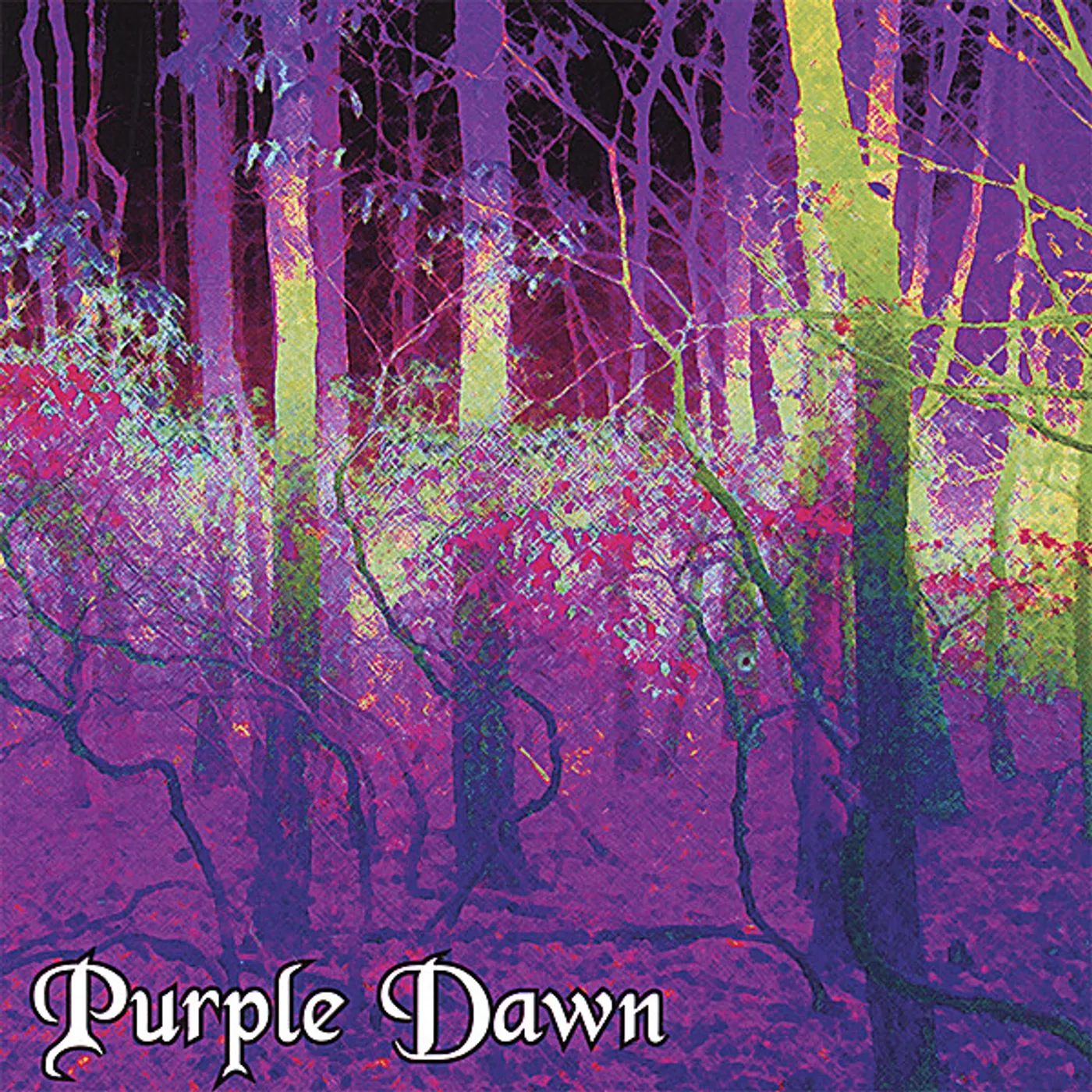 PURPLE DAWN CD