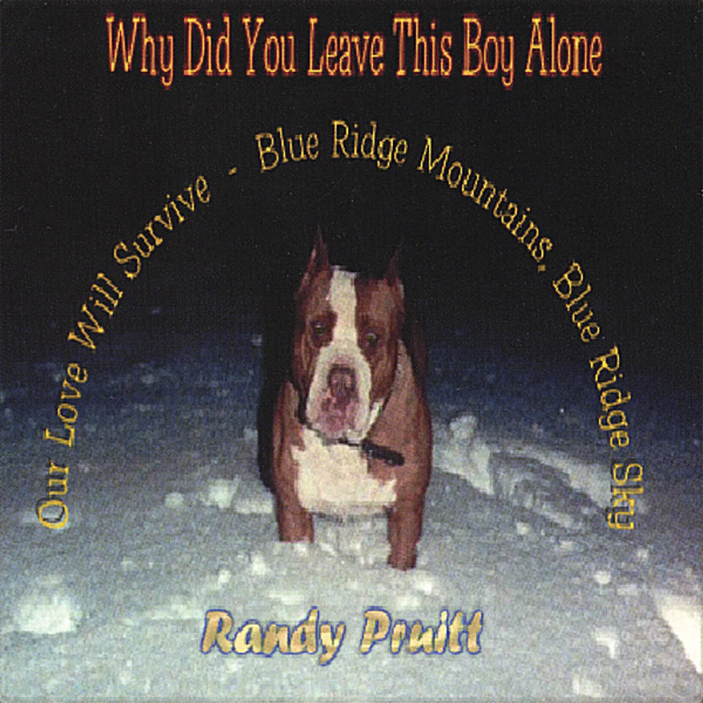 Randy Pruitt WHY DID YOU LEAVE THIS BOY ALONE? CD