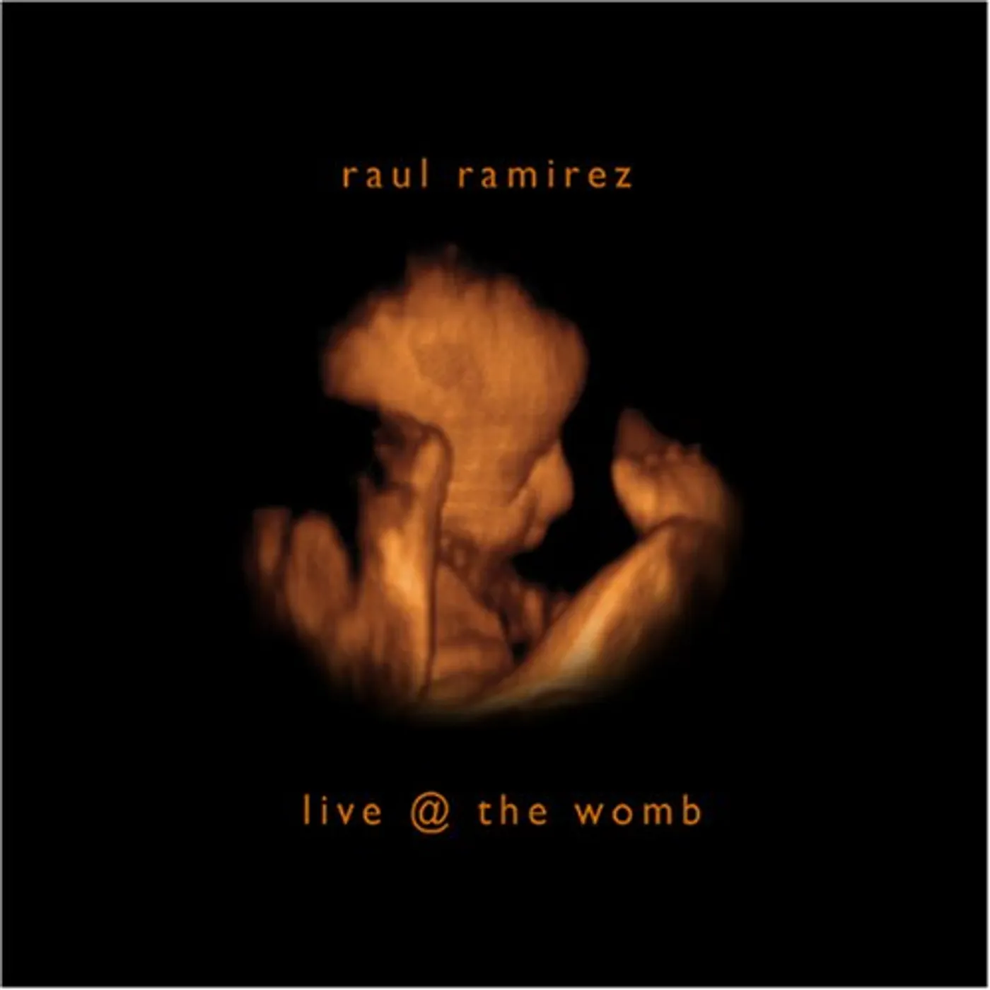Raul Ramirez LIVE AT THE WOMB CD