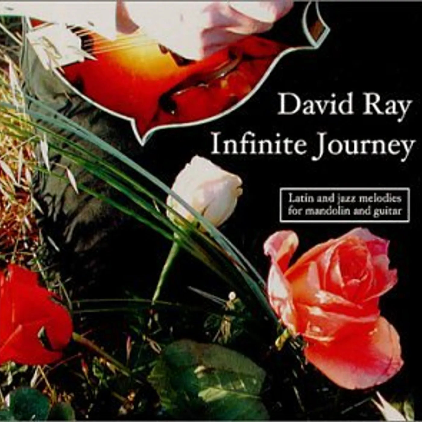 David Ray INFINITE JOURNEY CD
