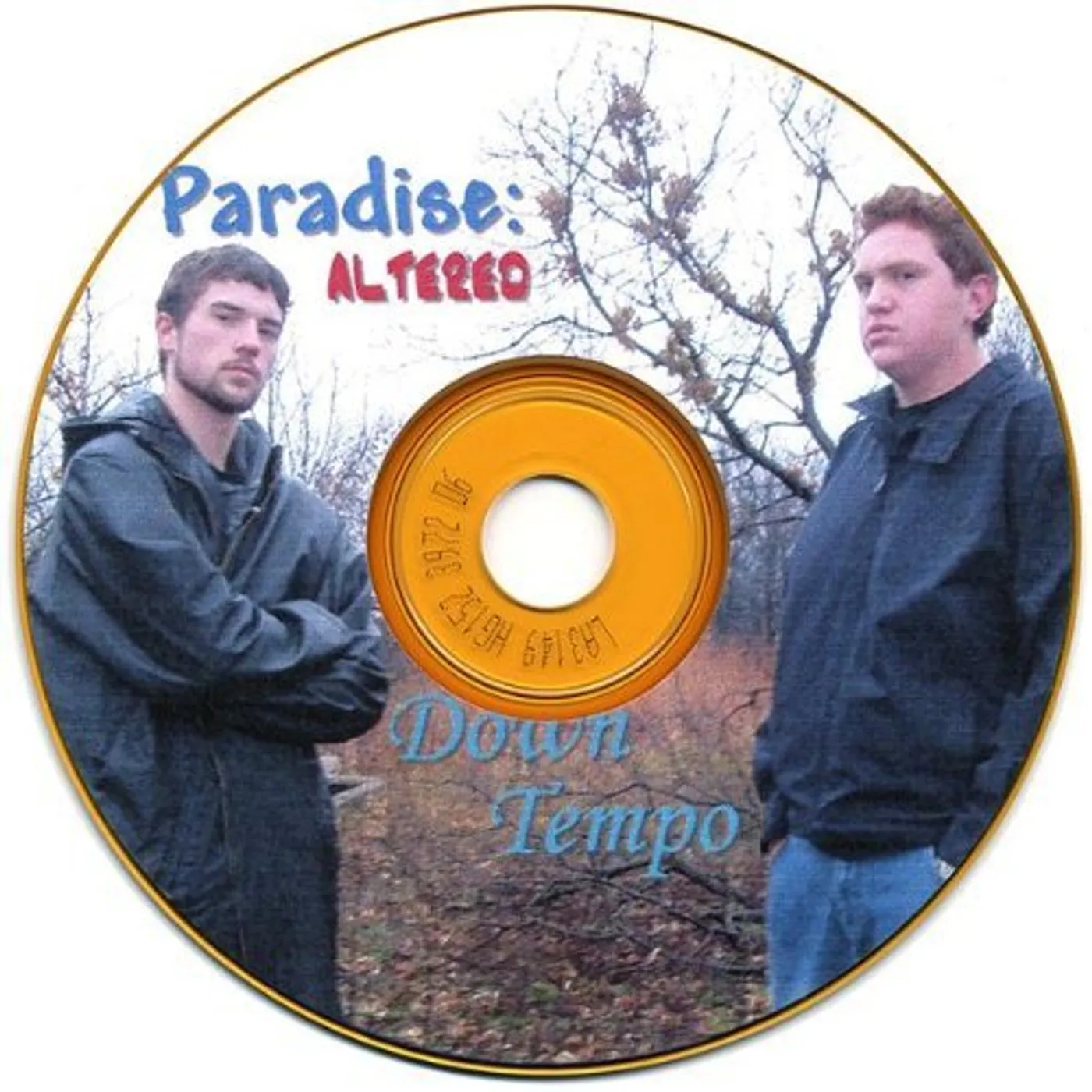 Paradise: altered DOWN TEMPO CD