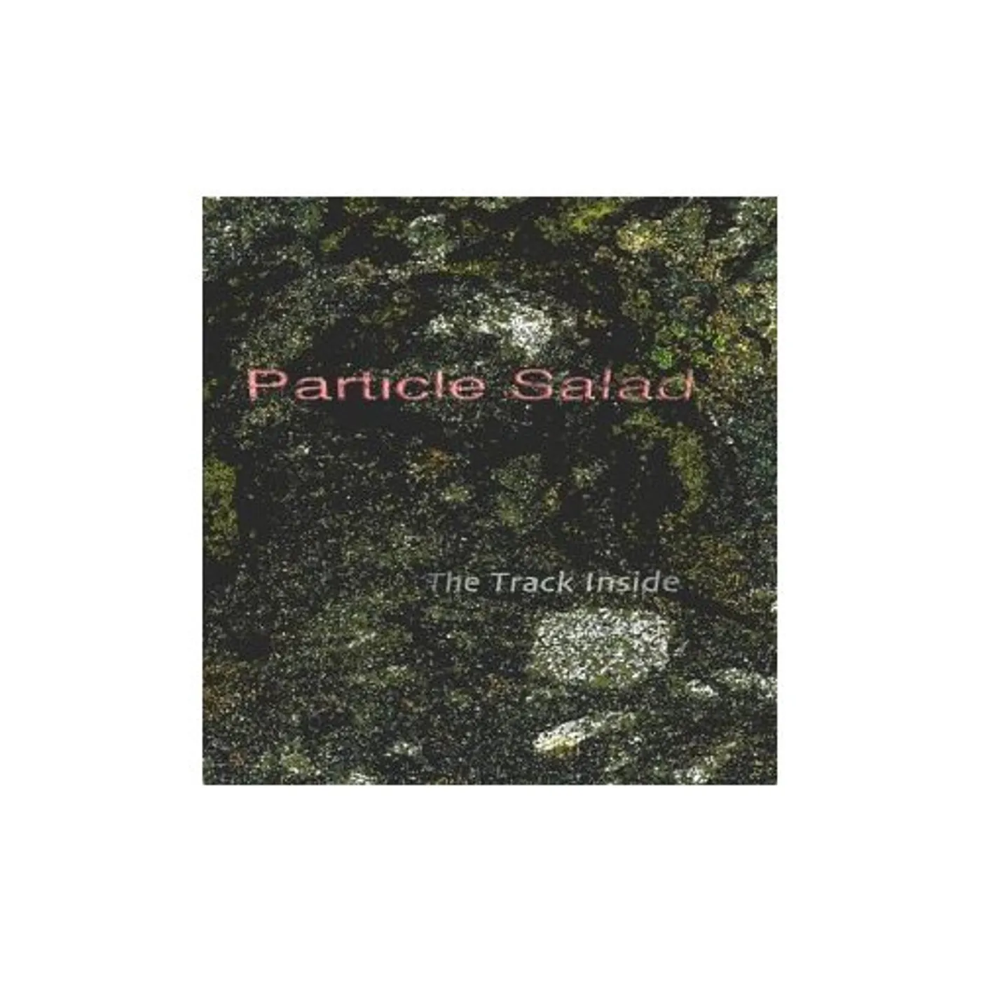 Particle Salad TRACK INSIDE CD