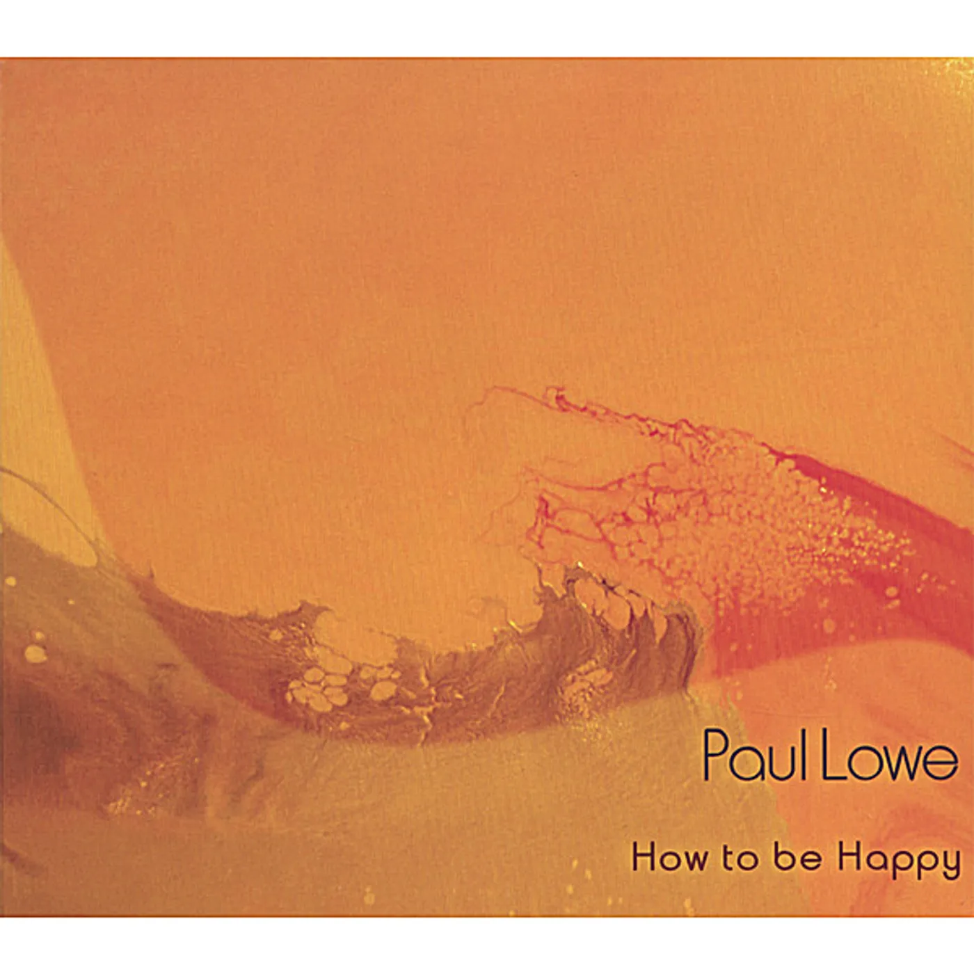 Paul Lowe HOW TO BE HAPPY CD
