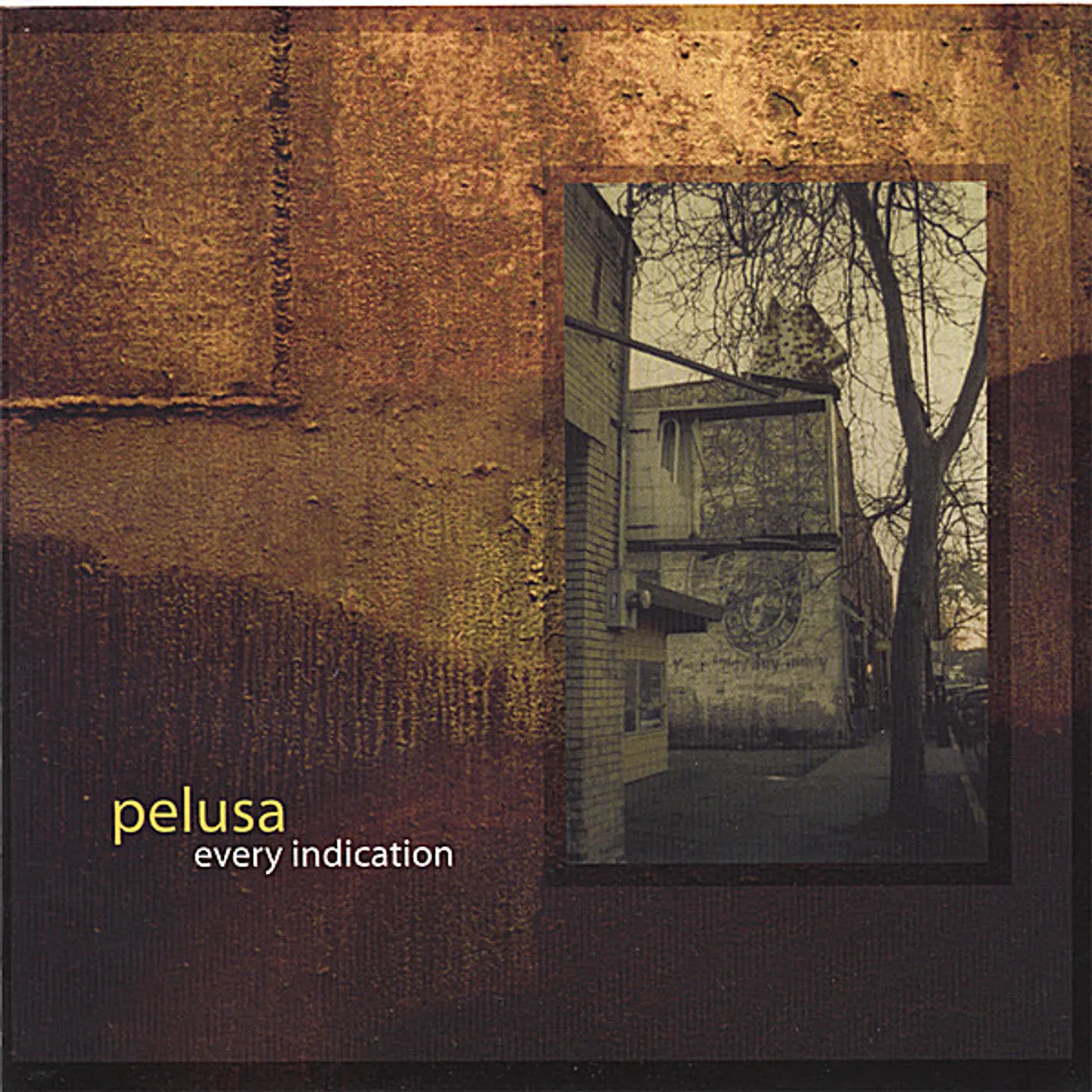 Pelusa EVERY INDICATION CD