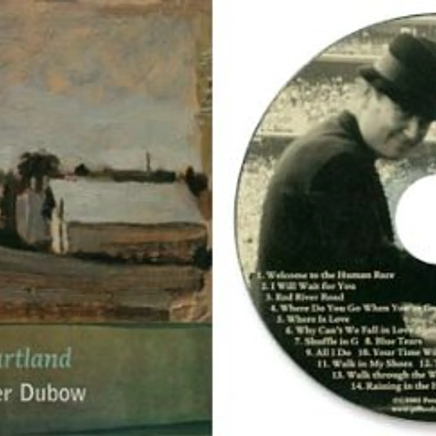 Peter Dubow RAINING IN THE HEARTLAND CD