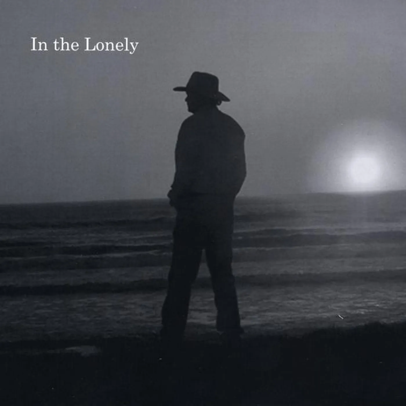 David Peters IN THE LONELY CD