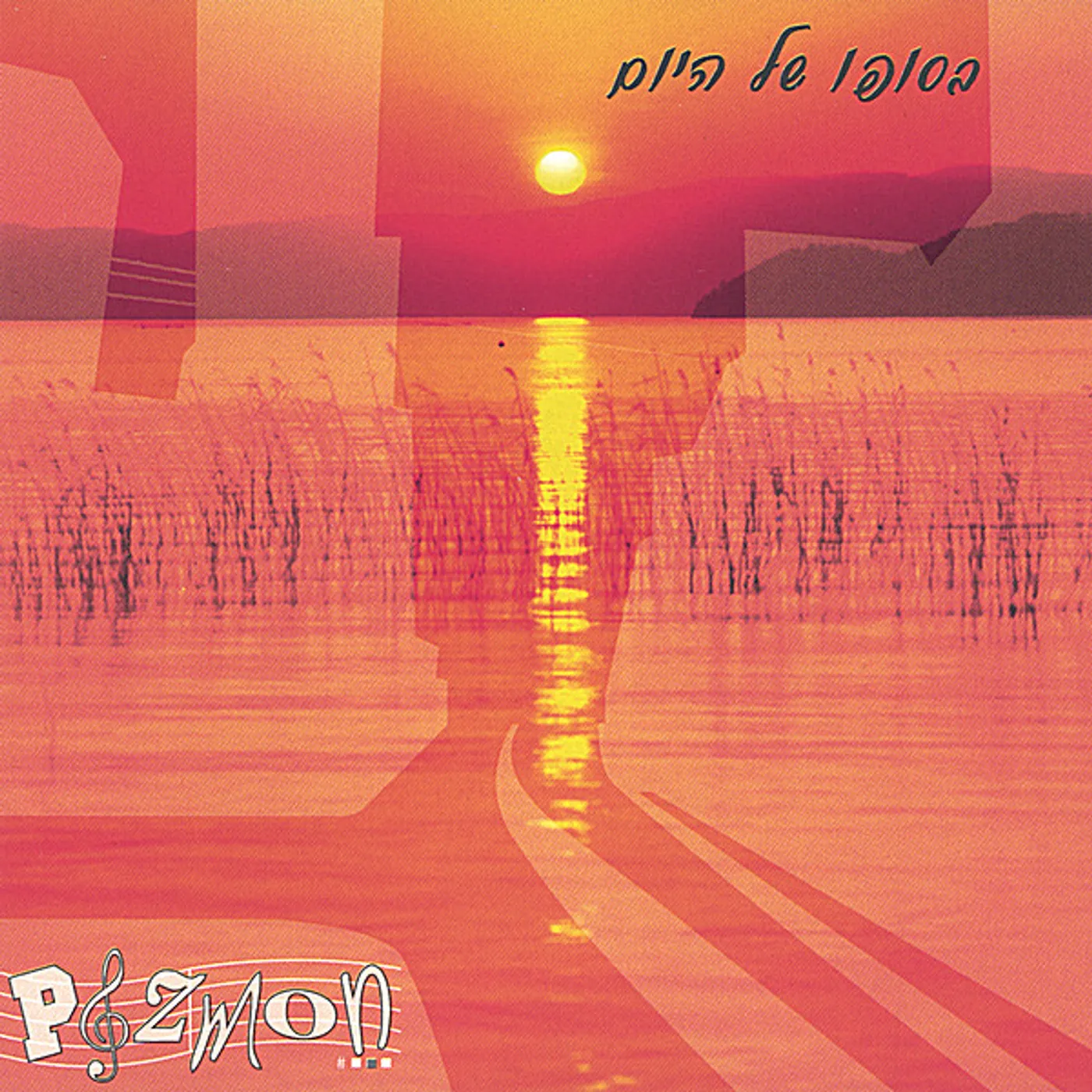 Pizmon AT THE END OF THE DAY CD