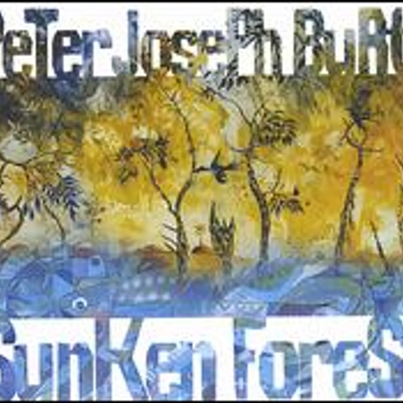 Peter Joseph Burtt SUNKEN FOREST CD