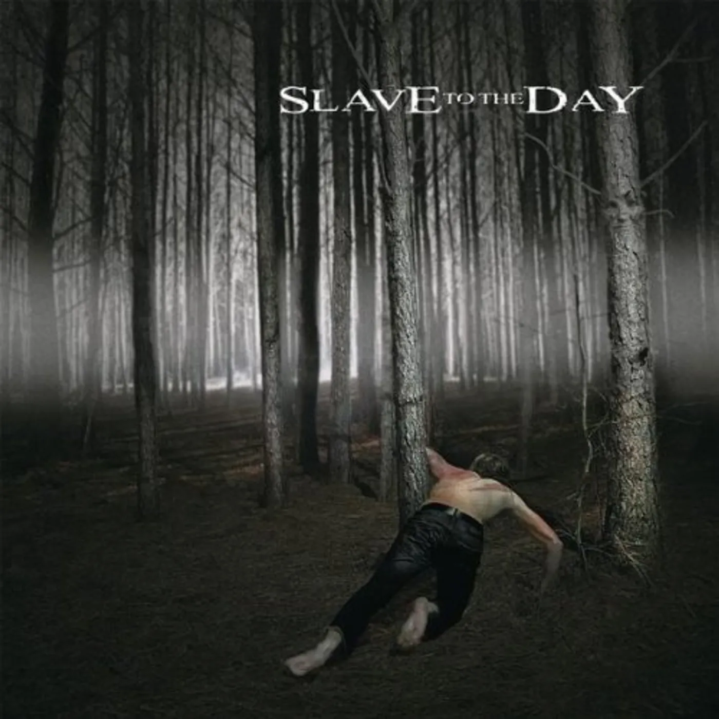Slave To the Day PUSHING THROUGH THE STILL CD