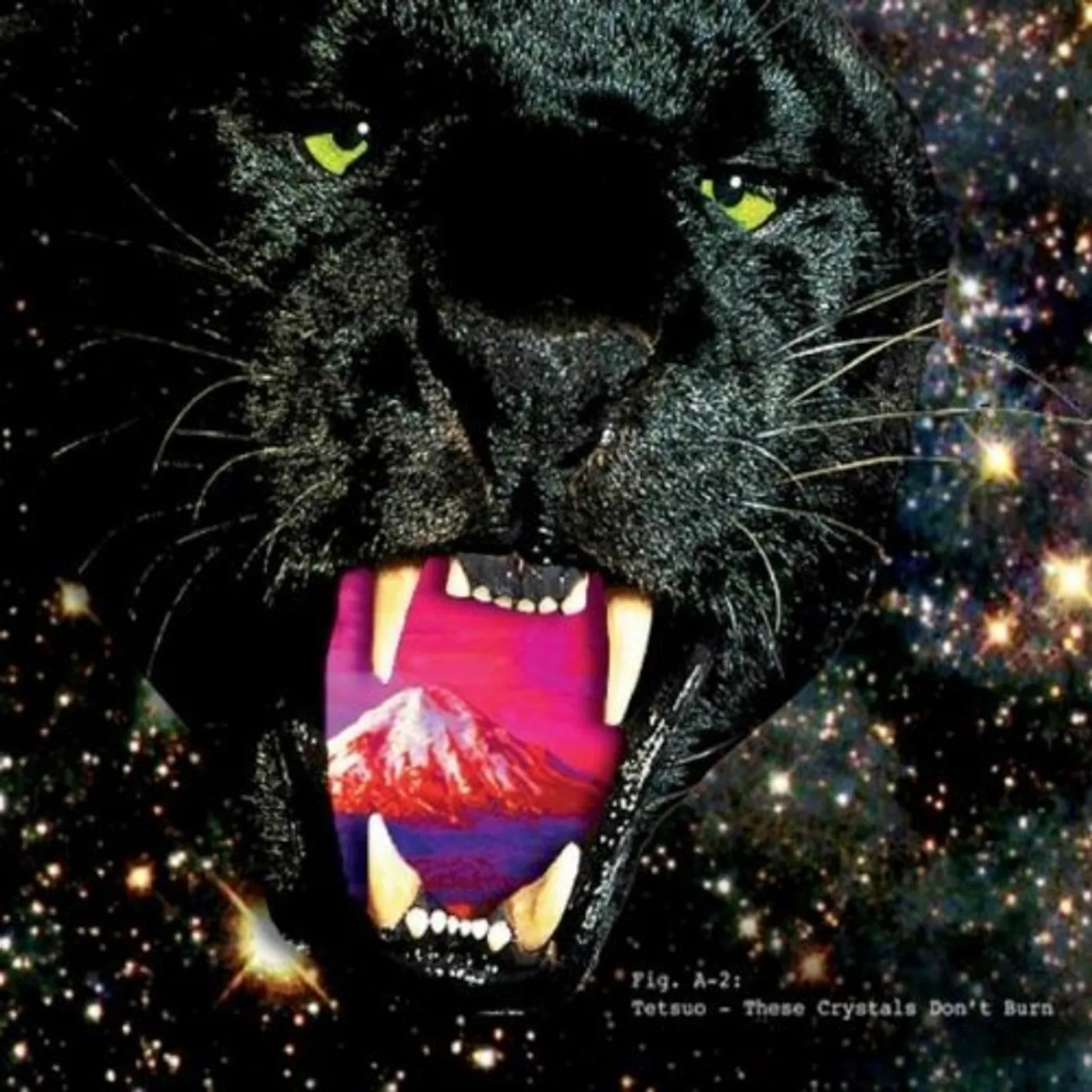 Tetsuo THESE CRYSTALS DON'T BURN CD
