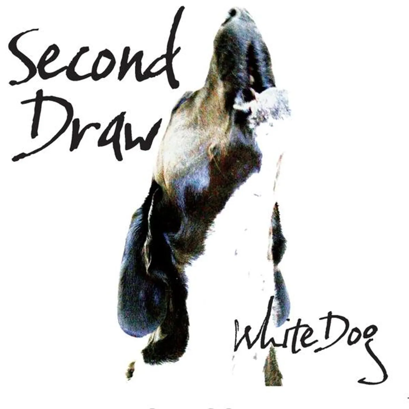 Second Draw WHITE DOG CD