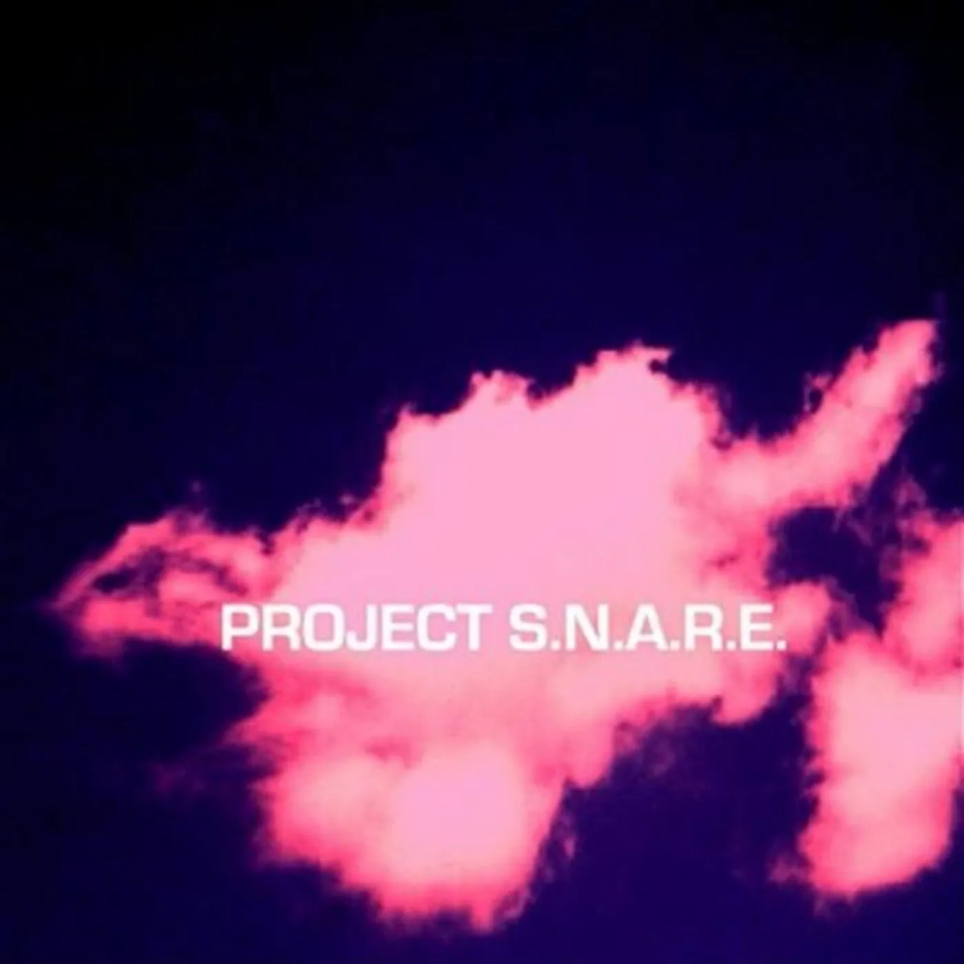 Project S.N.A.R.E. CEREBRAL BOOKENDS CD