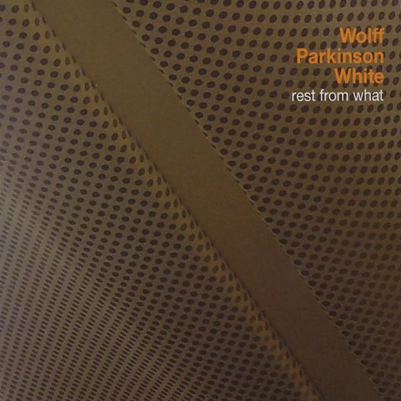 Wolff Parkinson White REST FROM WHAT CD