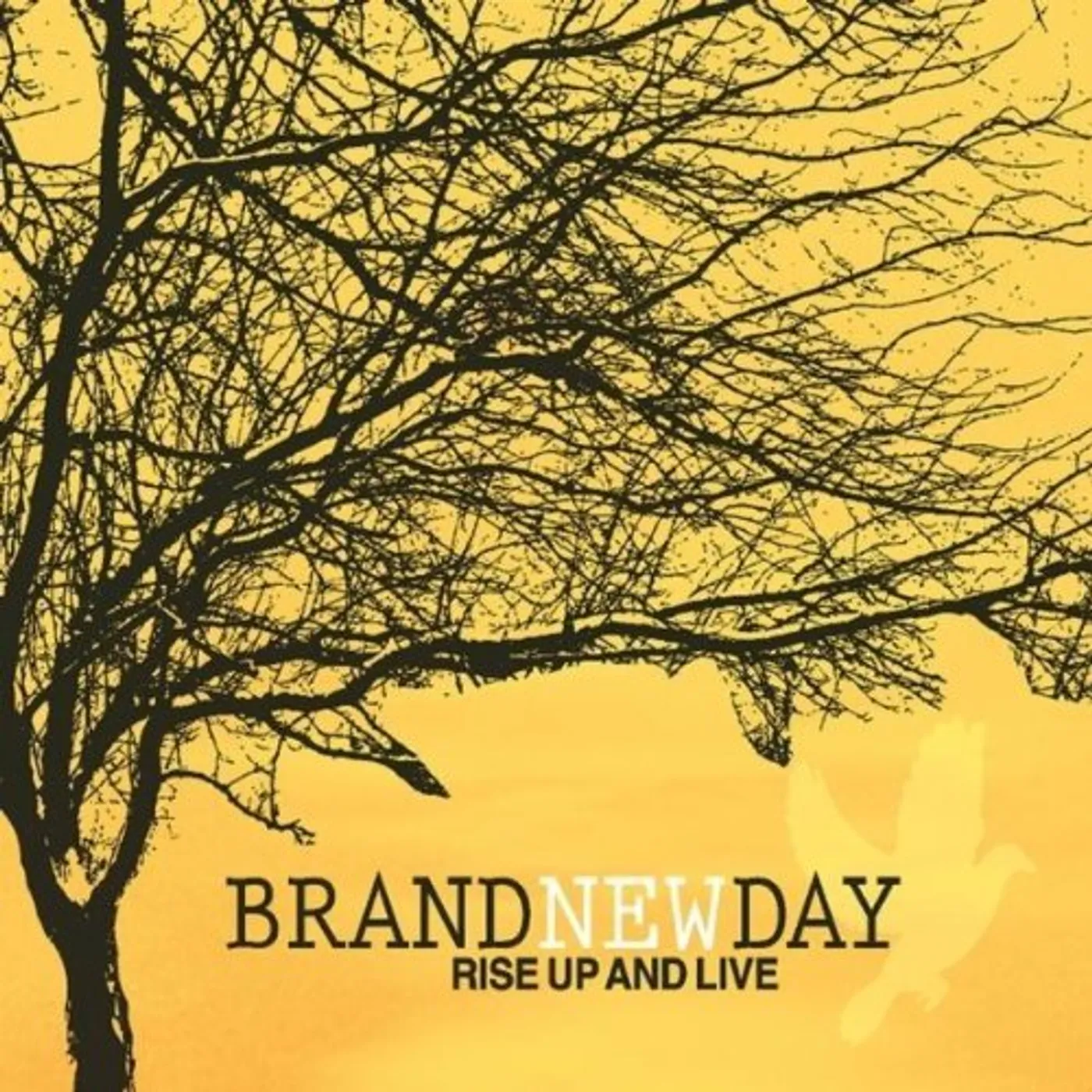 Brand New Day RISE UP & LIVE CD