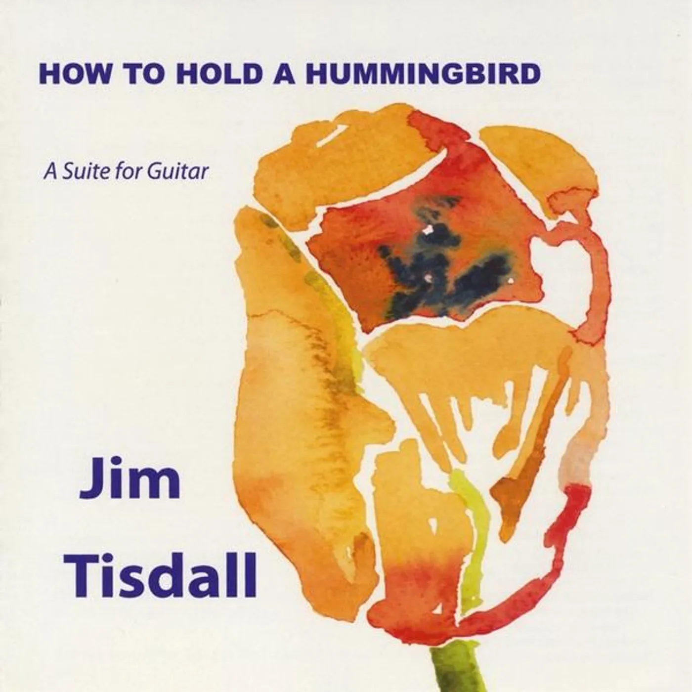 Jim Tisdall HOW TO HOLD A HUMMINGBIRD (A SUITE FOR GUITAR) CD
