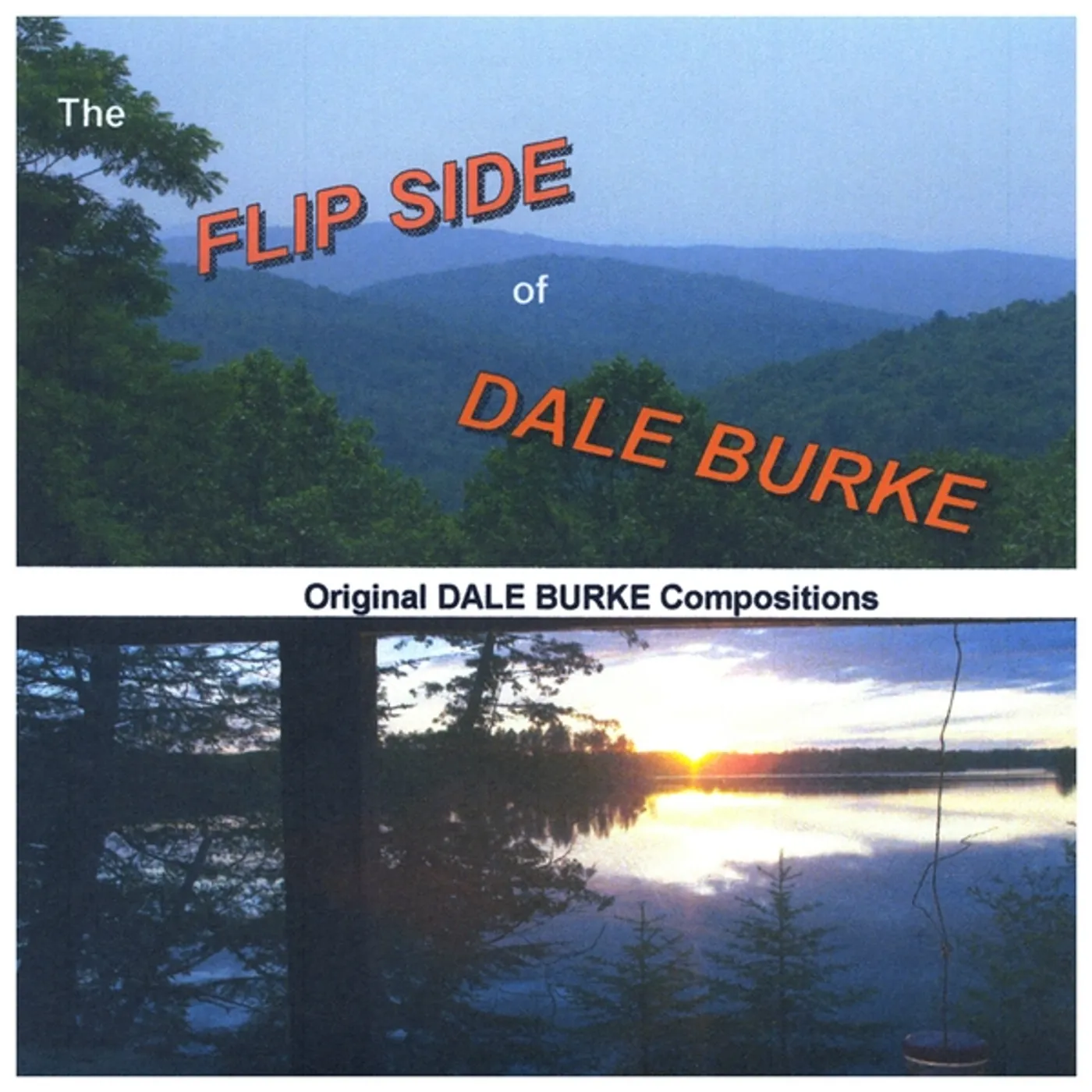 FLIP SIDE OF DALE BURKE CD