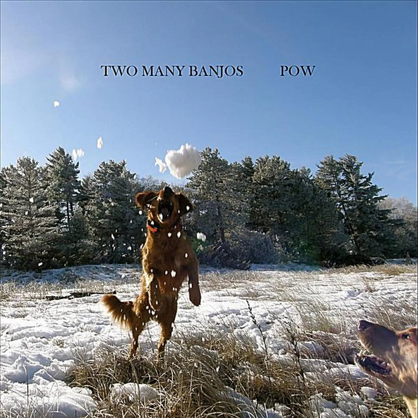 Two Many Banjos POW CD