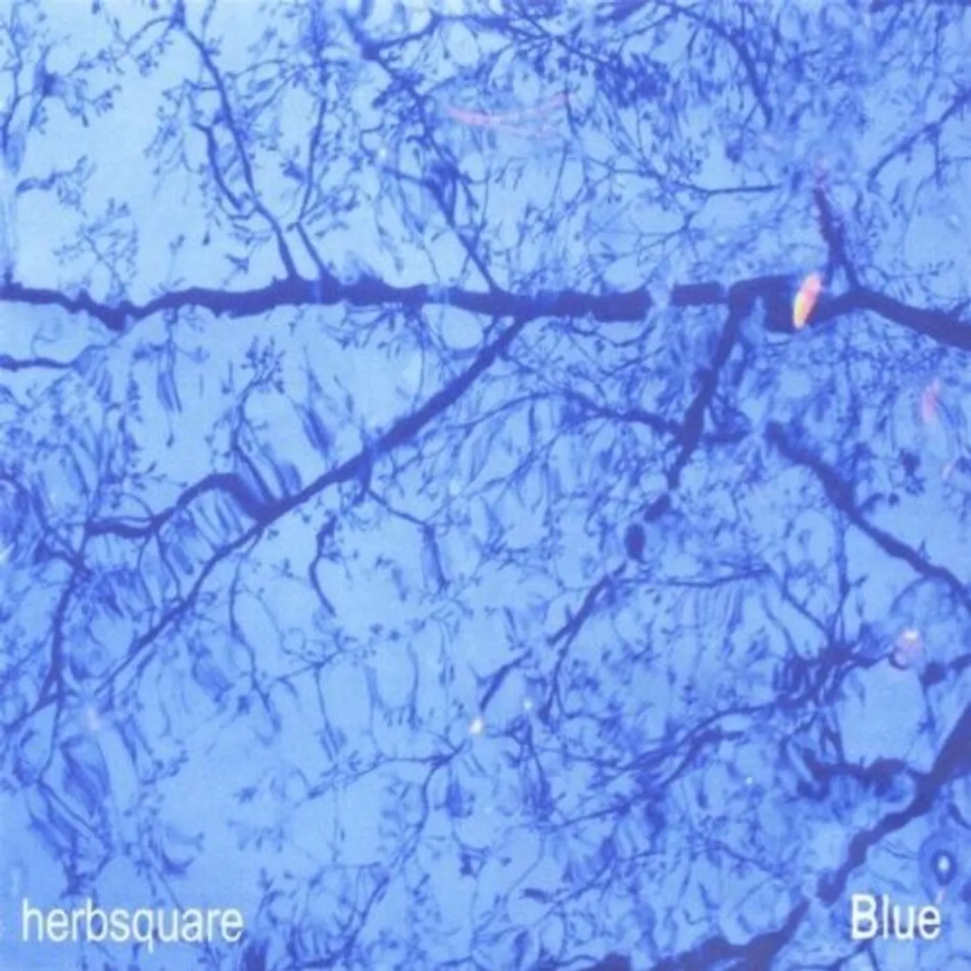 Herbsquare BLUE CD
