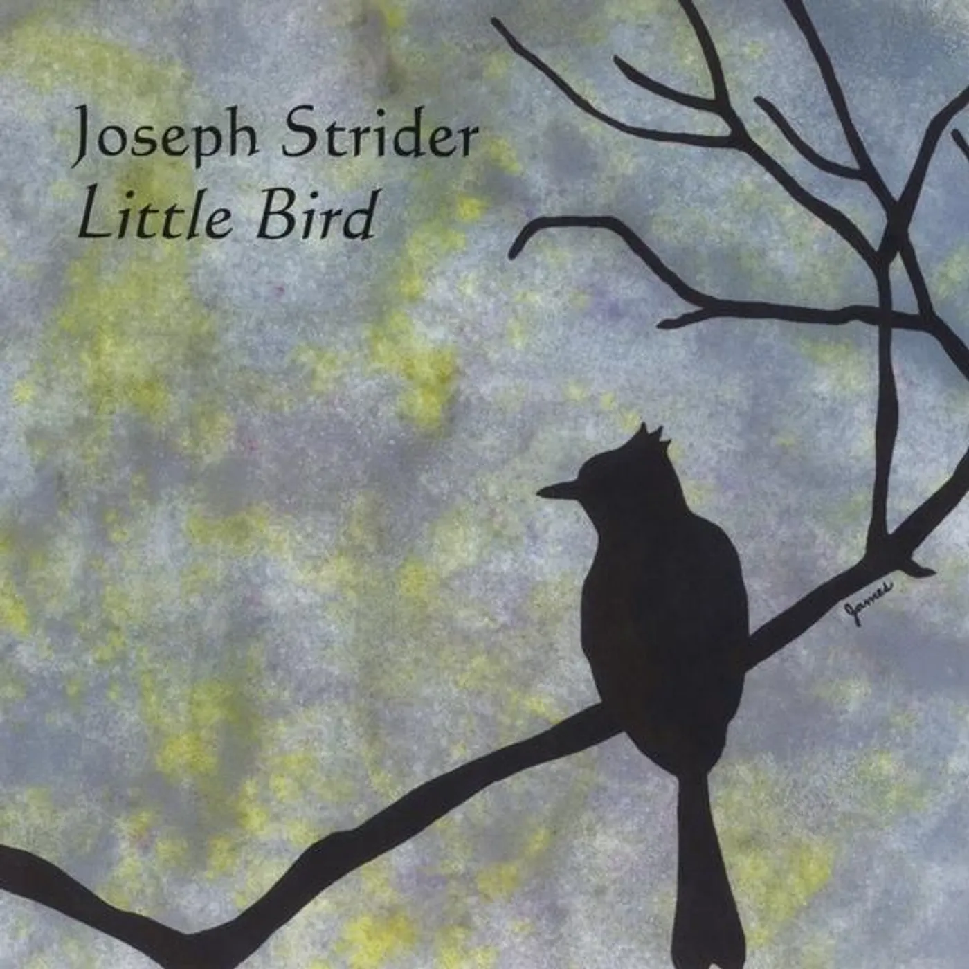 Joseph Strider LITTLE BIRD CD
