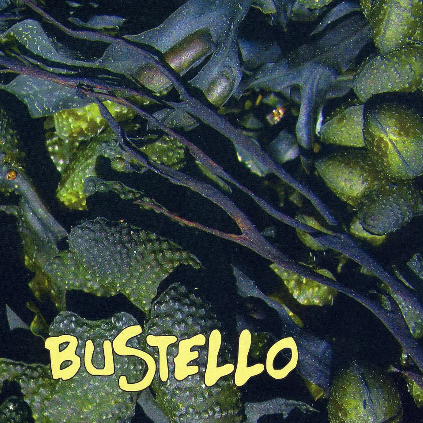 BUSTELLO CD