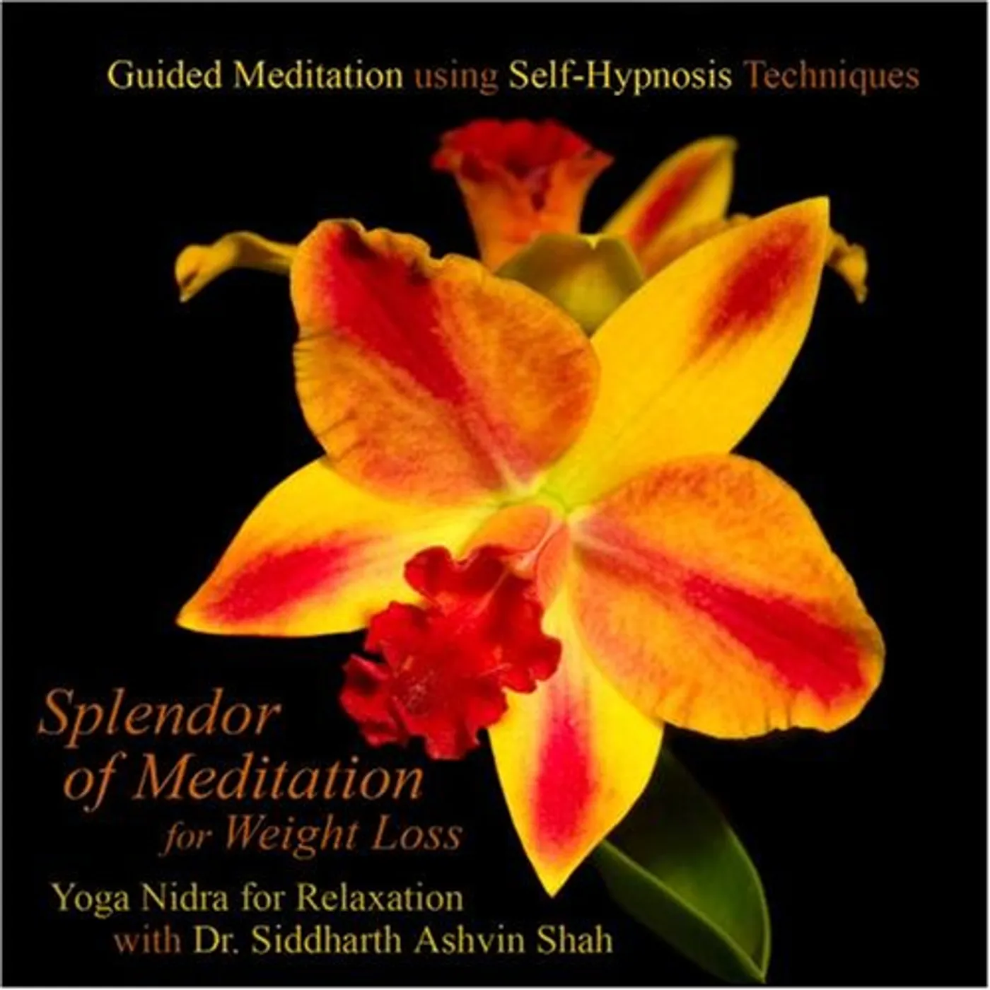 Splendor of Meditation for Weight Loss GUIDED MEDITATION USING SELF HYPNOSIS TECHNIQUES & CD