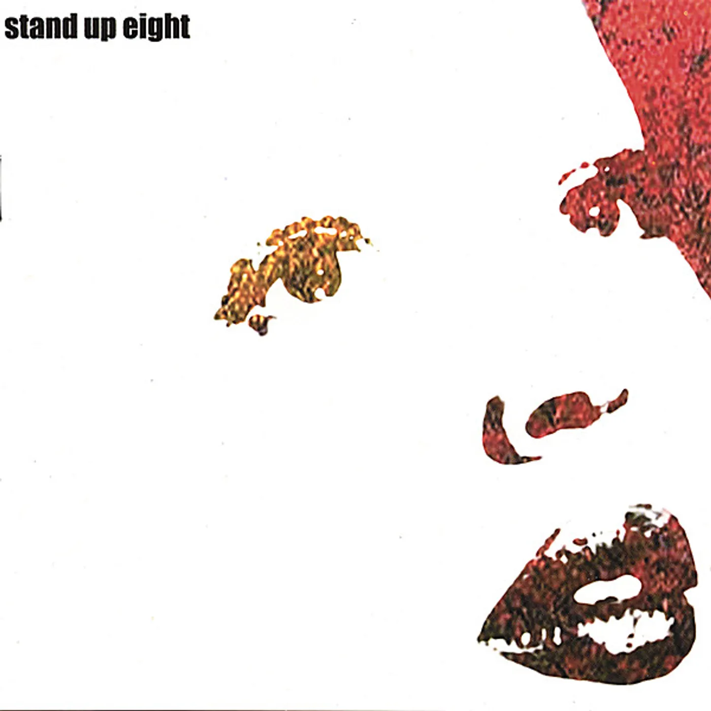 Stand Up Eight FACING THE FALL CD