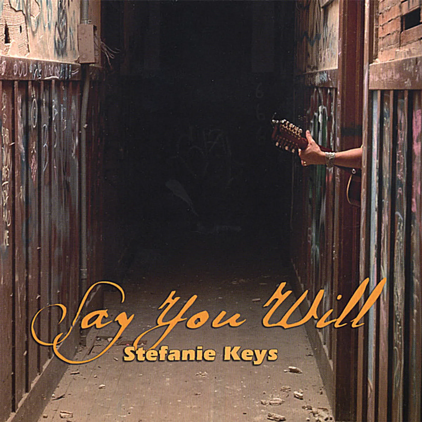 Stefanie Keys SAY YOU WILL CD
