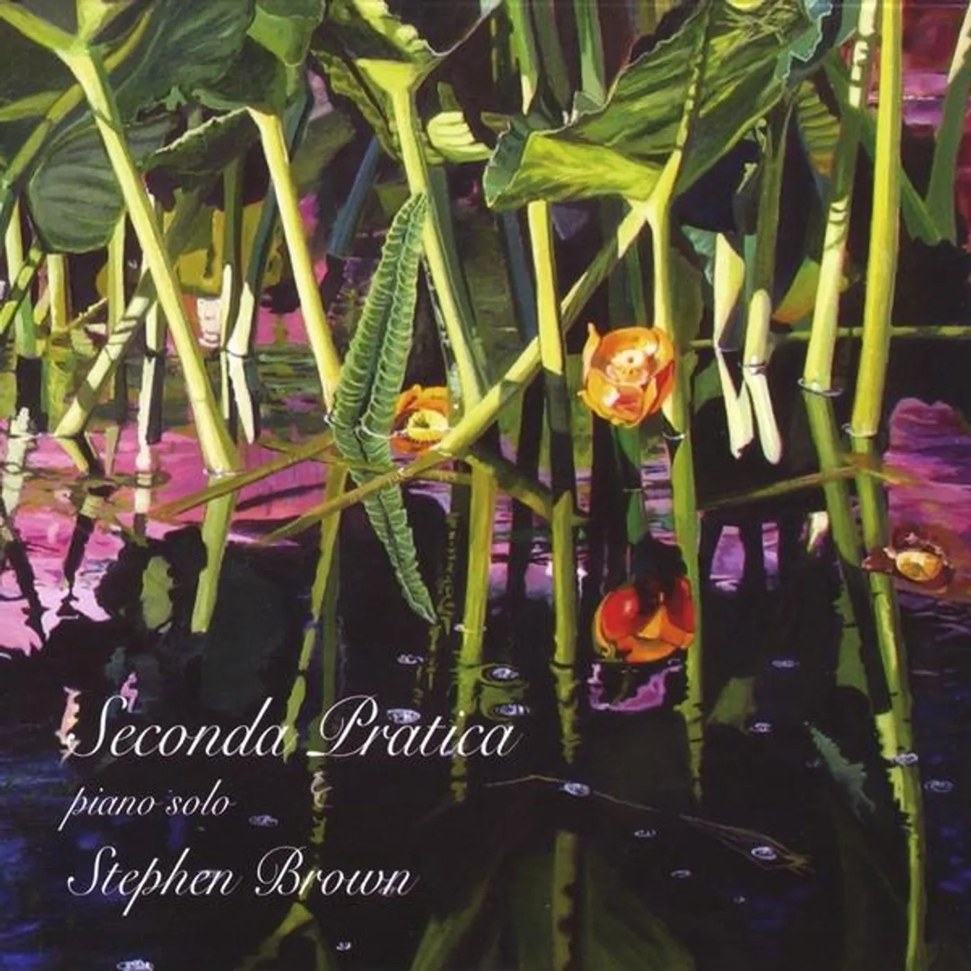Stephen Brown SECONDA PRATICA CD