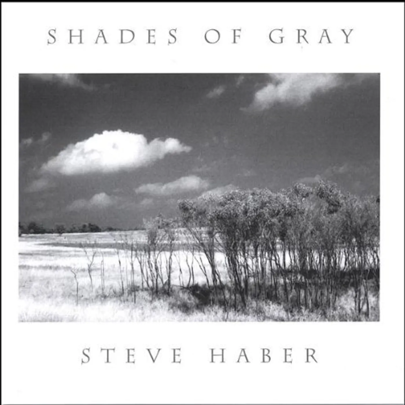 Steve Haber SHADES OF GRAY CD
