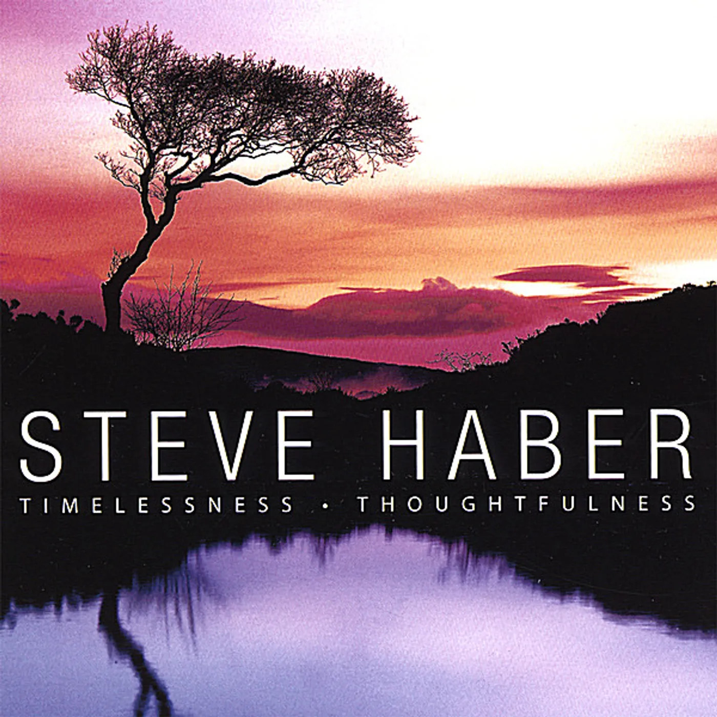 Steve Haber TIMELESSNESS THOUGHFULNESS CD