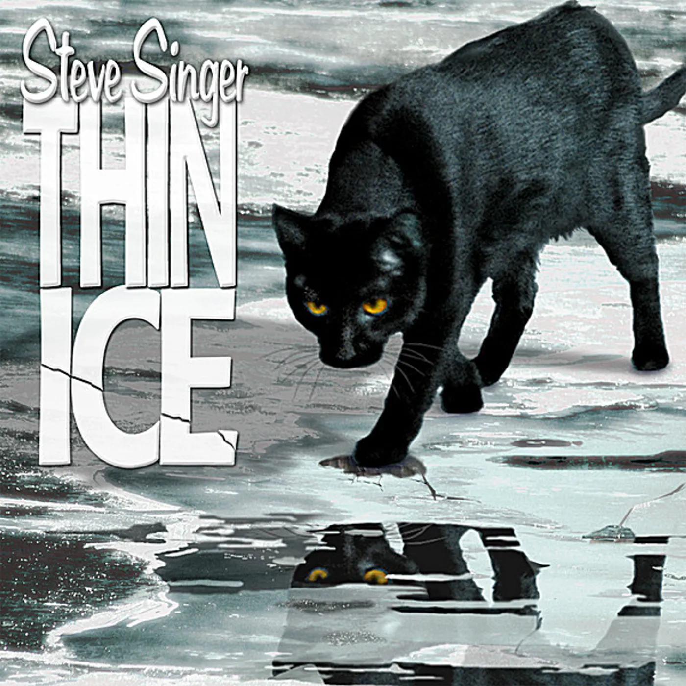 Steve Singer THIN ICE CD