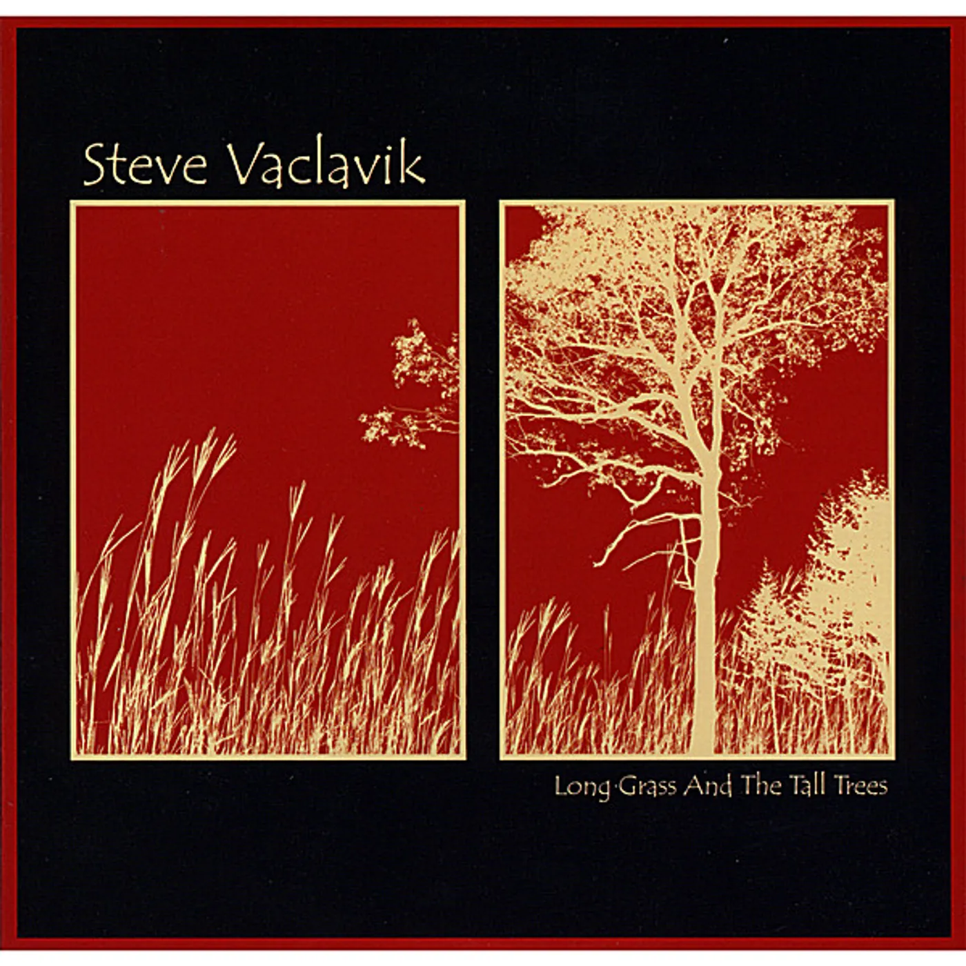 Steve Vaclavik LONG GRASS & THE TALL TREES CD