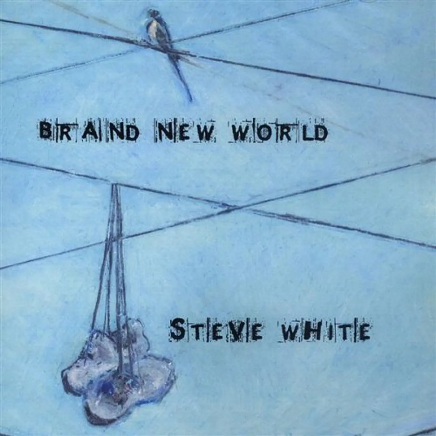 Steve White BRAND NEW WORLD CD